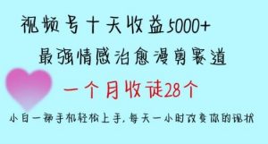 十天收益5000+,多平台捞金,视频号情感治愈漫剪,一个月收徒28个,小白一部手机轻松上手【揭秘】-创客聚集地