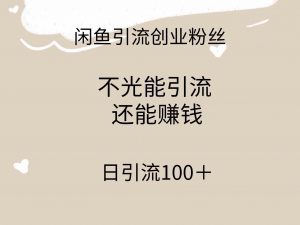 闲鱼精准引流创业粉丝，日引流100＋，引流过程还能赚钱-创客聚集地