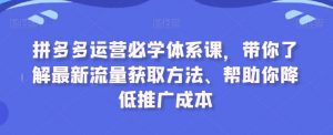 拼多多运营必学体系课，带你了解最新流量获取方法、帮助你降低推广成本-创客聚集地