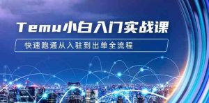 Temu小白入门实战课:跨境拼多多电商培训 快速跑通从入驻到出单全流程-12节-创客聚集地