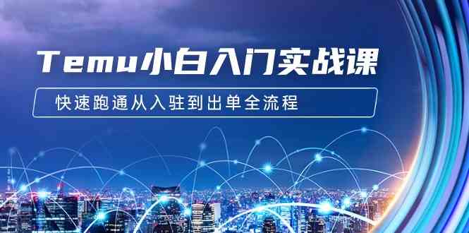Temu小白入门实战课：跨境拼多多电商培训 快速跑通从入驻到出单全流程-12节-创客聚集地