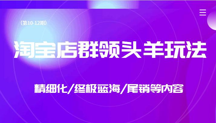 淘宝店群领头羊玩法，精细化/终极蓝海/尾销等内容（第10-12期）-创客聚集地