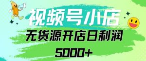 视频号无货源小店从0到1日订单量千单以上纯利润稳稳5000+-创客聚集地