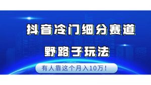 抖音冷门细分赛道野路子玩法，有人靠这个月入10万-创客聚集地