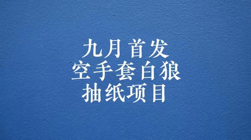0成本，日入100-500空手套白狼抽纸项目，保姆级教学-创客聚集地