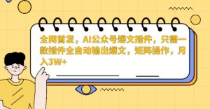 全网首发，AI公众号爆文插件，只需一款插件全自动输出爆文，矩阵操作，月入3W+-创客聚集地