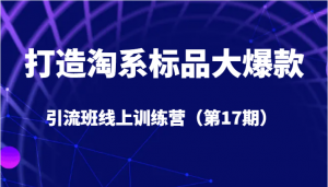 打造淘系标品大爆款引流班线上训练营（第17期）5天直播授课+1个月答疑-创客聚集地