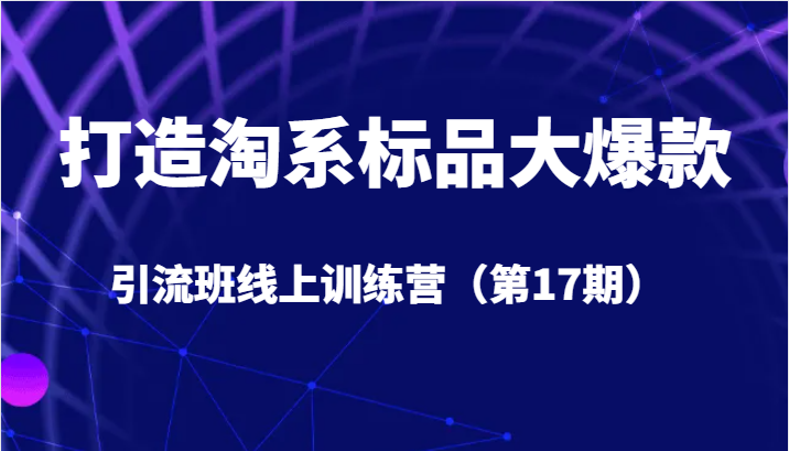 打造淘系标品大爆款引流班线上训练营（第17期）5天直播授课+1个月答疑-创客聚集地