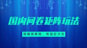 保姆级教程，国内问卷矩阵玩法，轻松赚收益-创客聚集地