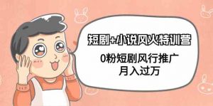 短剧+小说风火特训营,0粉短剧风行推广,月入过万(102节课)-创客聚集地