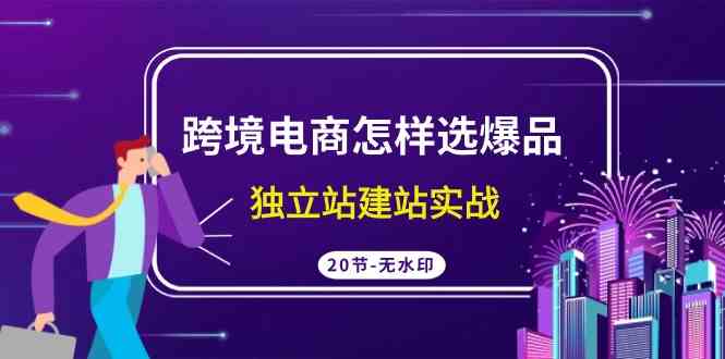 跨境电商怎样选爆品，独立站建站实战（20节高清无水印课）-创客聚集地