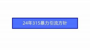 2024年315暴力引流方针-创客聚集地