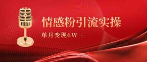 单月变现6w+，情感粉引流变现实操课-创客聚集地