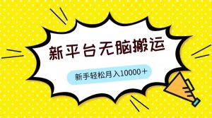 新平台用软件无脑搬运，月赚10000+，小白也能轻松上手-创客聚集地