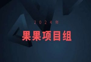 2024年果果项目组项目合集-果果最新项目-创客聚集地