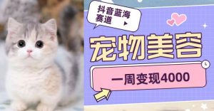抖音蓝海赛道，宠物美容，一周变现4000-创客聚集地
