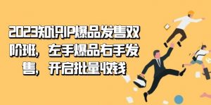 2023知识IP-爆品发售双阶班，左手爆品右手发售，开启批量收钱-创客聚集地