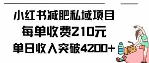 小红书减肥私域项目每单收费210元单日成交20单，最高日入4200+-创客聚集地