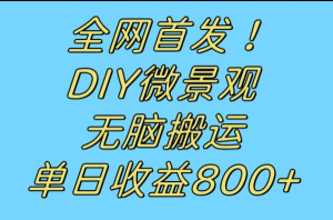 全网首发冷门赛道！DIY微景观，无脑搬运视频，日收益800+-创客聚集地