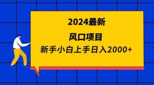 2024最新风口项目 新手小白日入2000+-创客聚集地