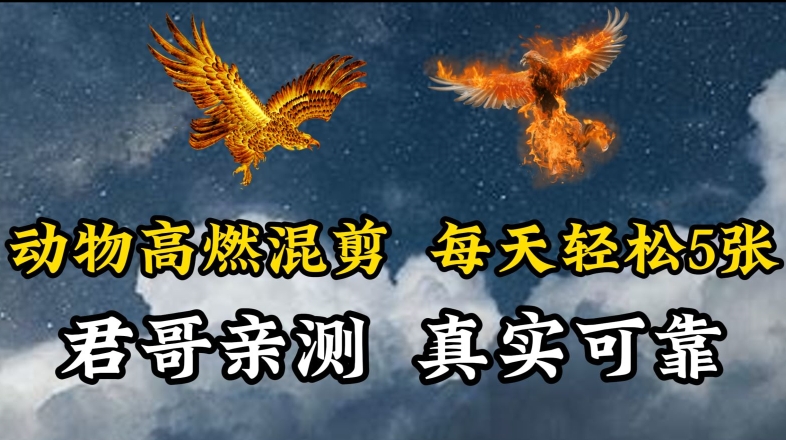 动物超燃混剪，每天轻松5张，剪辑简单大家爱看-创客聚集地