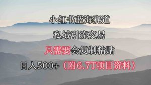 小红书短剧赛道，私域引流交易，会复制粘贴，日入500+（附6.7T短剧资源）-创客聚集地