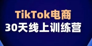 TikTok电商带货30天线上课，不可错过的全球流量洼地！-创客聚集地