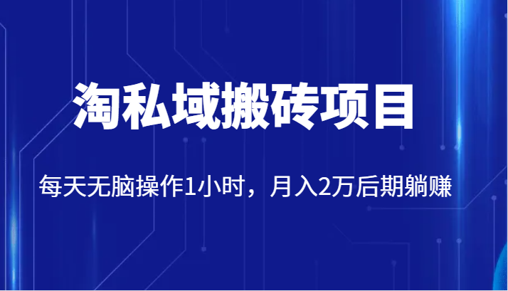 价值2980的淘私域搬砖项目，每天无脑操作1小时，月入2万后期躺赚-创客聚集地