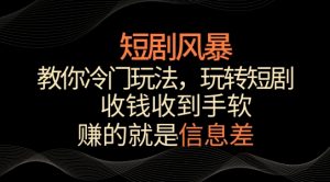 短剧风暴,教你冷门玩法,玩转短剧,收钱收到手软-创客聚集地
