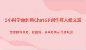 5小时学会利用ChatGP创作真人级文章，教你做写真站，权重站，公众号类AI写作玩法-创客聚集地