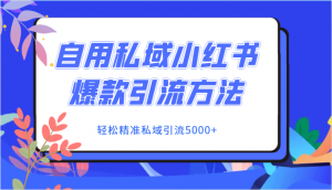 自用私域小红书爆款引流方法，轻松精准私域引流5000+-创客聚集地