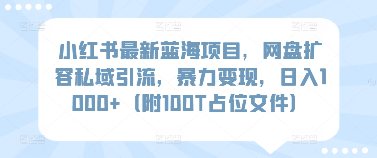 小红书最新蓝海项目，网盘扩容私域引流，暴力变现，日入1000+（附100T占位文件）-创客聚集地