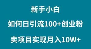 新手小白如何通过卖项目实现月入10W+-创客聚集地
