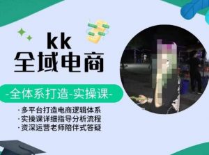 KK全域电商，全体系打造实操课，多平台打造电商逻辑体系-创客聚集地