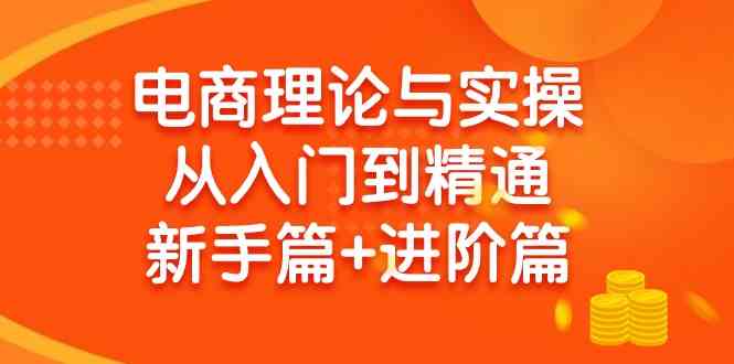 电商理论与实操从入门到精通 新手篇+进阶篇-创客聚集地