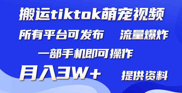搬运Tiktok萌宠类视频，一部手机即可。所有短视频平台均可操作，月入3W+-创客聚集地