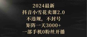 2024最新抖音小雪花卖课2.0 不违规 不封号 矩阵一天3000+一部手机0粉丝开播-创客聚集地