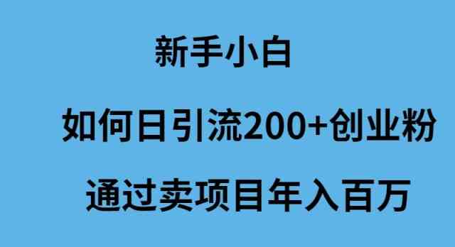 新手小白如何日引流200+创业粉通过卖项目年入百万-创客聚集地