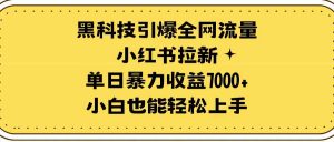 黑科技引爆全网流量小红书拉新,单日暴力收益7000+,小白也能轻松上手-创客聚集地