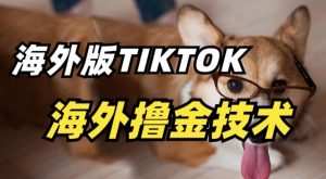 抖音海外版tiktok撸金技术，这个风口行业，赚钱真的不难-创客聚集地