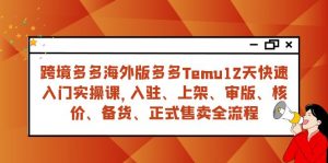 跨境多多海外版多多Temu12天快速入门实战课,从入驻 上架到正式售卖全流程-创客聚集地