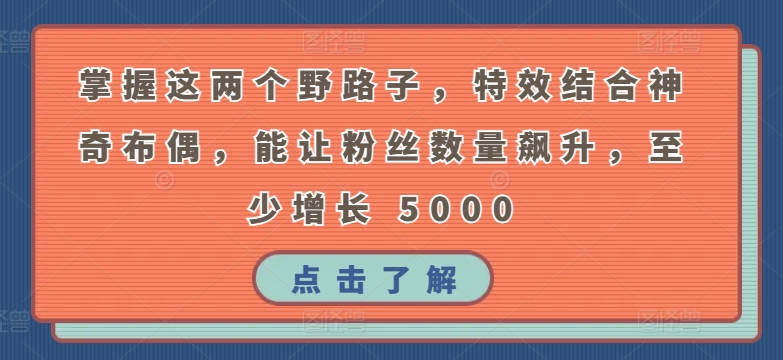 掌握这两个野路子，特效结合神奇布偶，能让粉丝数量飙升，至少增长 5000-创客聚集地