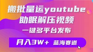 批量搬运YouTube解压助眠视频 一键多平台发布 月入2W+-创客聚集地
