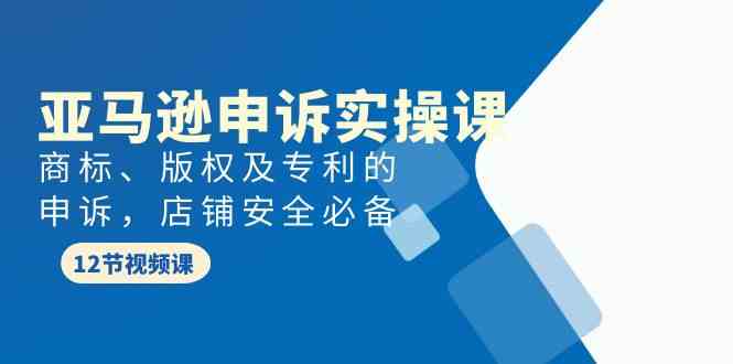 亚马逊-申诉实战课，​商标、版权及专利的申诉，店铺安全必备-创客聚集地