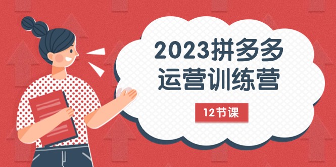 2023拼多多运营训练营：流量底层逻辑，免费+付费流量玩法（12节课）-创客聚集地
