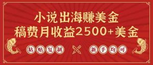 小说出海赚美金，稿费月收益2500+美金，仅需chatgpt粘贴复制，新手也能玩转-创客聚集地