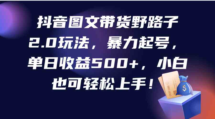 抖音图文带货野路子2.0玩法，暴力起号，单日收益500+，小白也可轻松上手！-创客聚集地