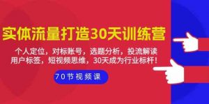 实体-流量打造-30天训练营：个人定位，对标账号，选题分析，投流解读-70节-创客聚集地
