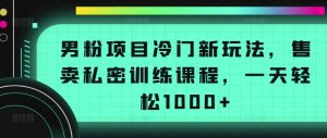 男粉项目冷门新玩法，售卖私密训练课程，一天轻松1000+-创客聚集地