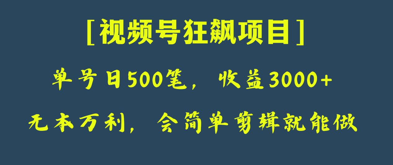 日收款500笔，纯利润3000+，视频号狂飙项目！-创客聚集地